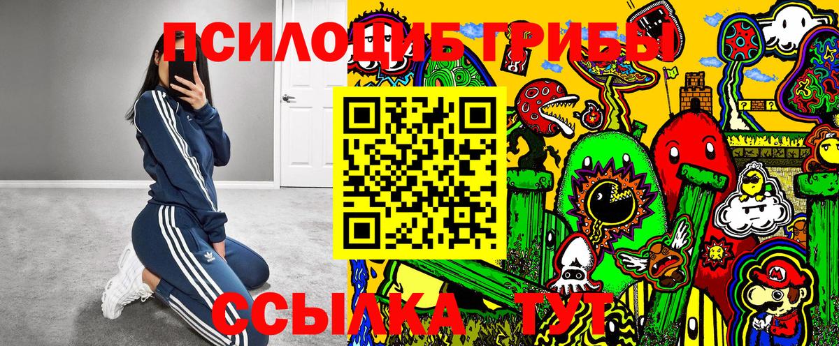Ярославль  Псилоцибиновые грибы Cubensis  Псилоцибиновые грибы мухоморы  Вход с VPN 