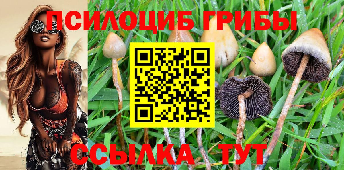 Галлюциногенные грибы Magic Shrooms Ярославль